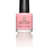 Jessica Berry Burst Nagellak