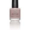 Jessica Intrigue Nagellak